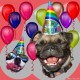 Thumbs/tn_birthday dogs 3.jpg